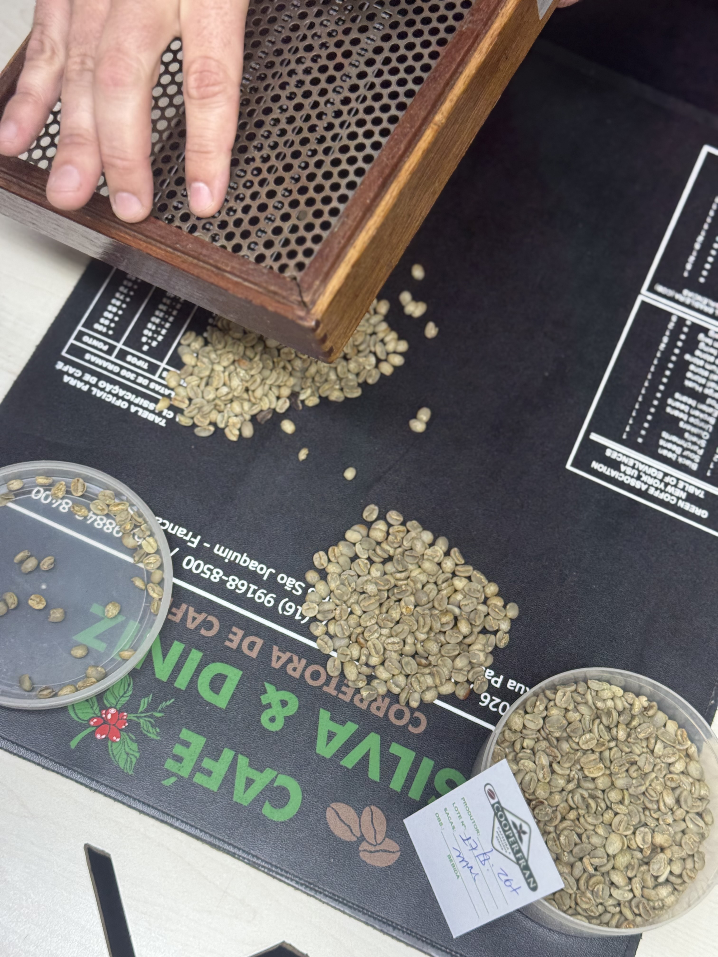 Classificação de café verde por peneira na Cooperfran
